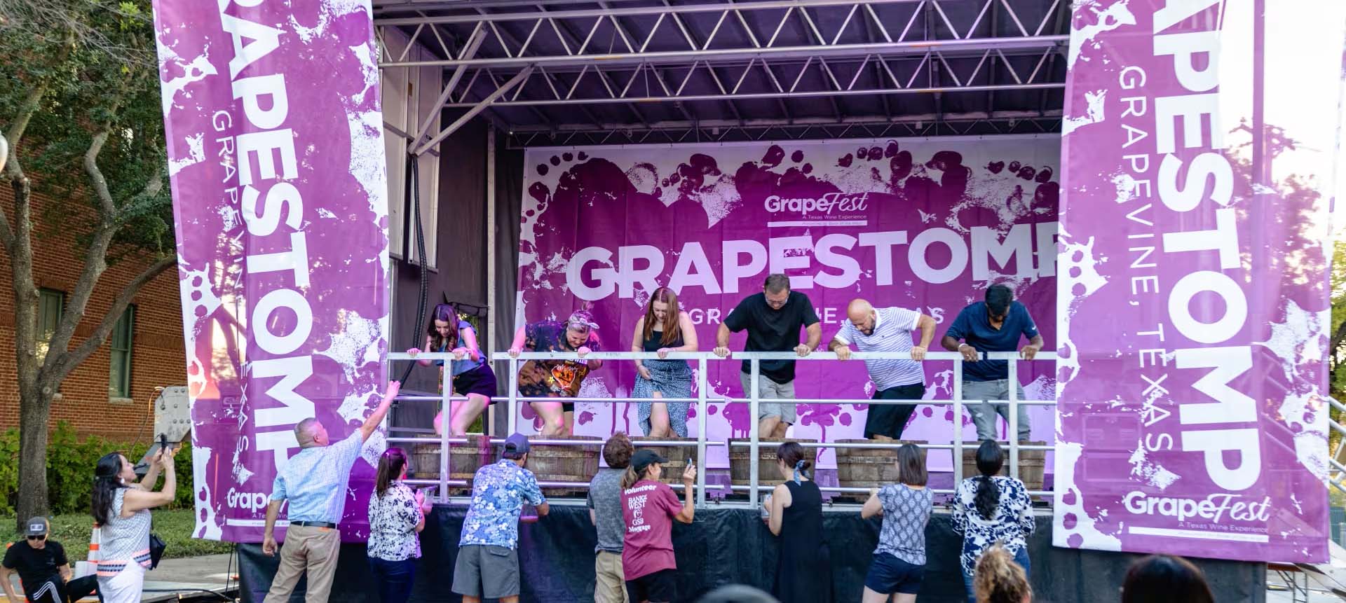 39th Annual GrapeFest