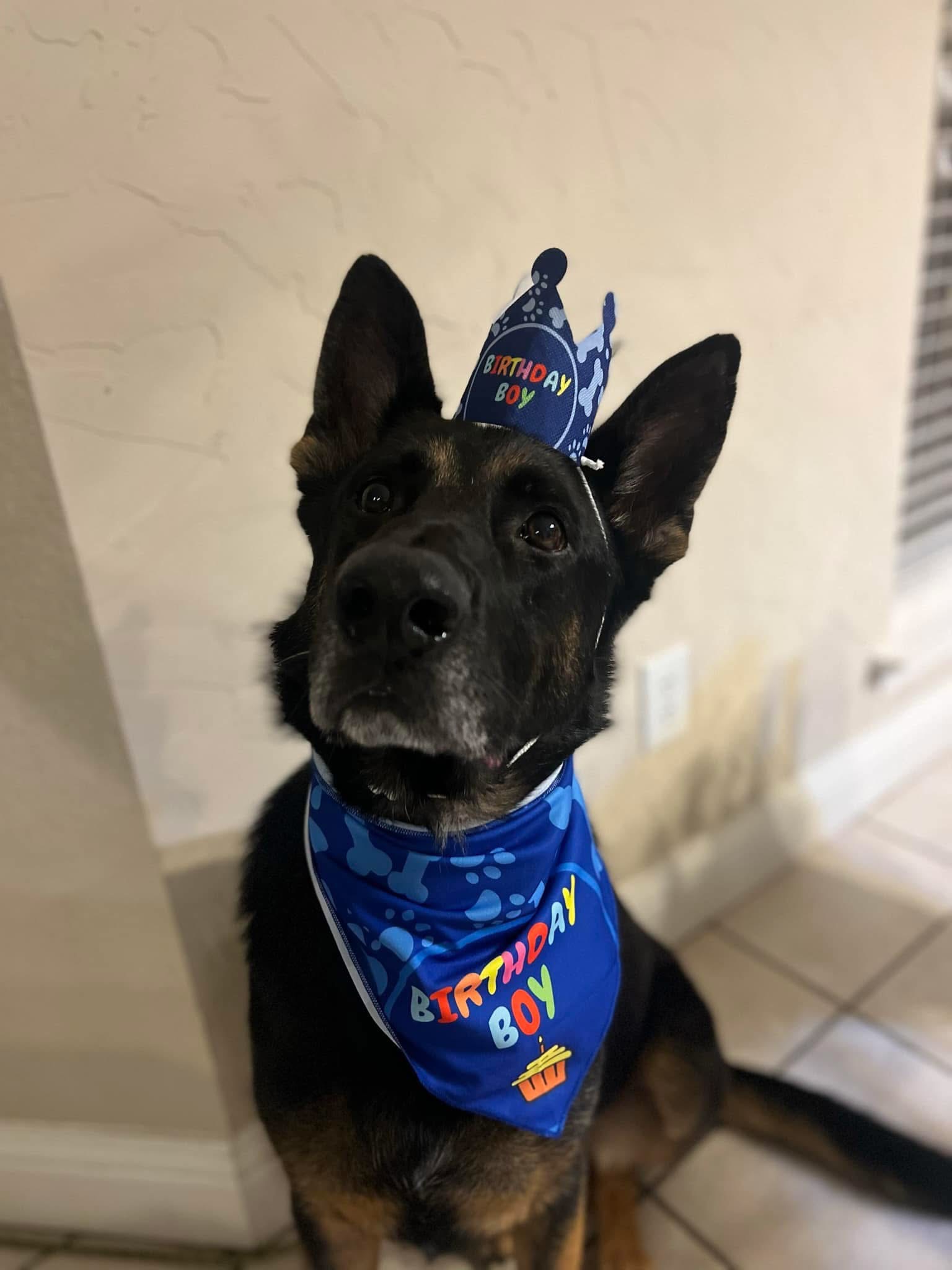 The Talley Family dog