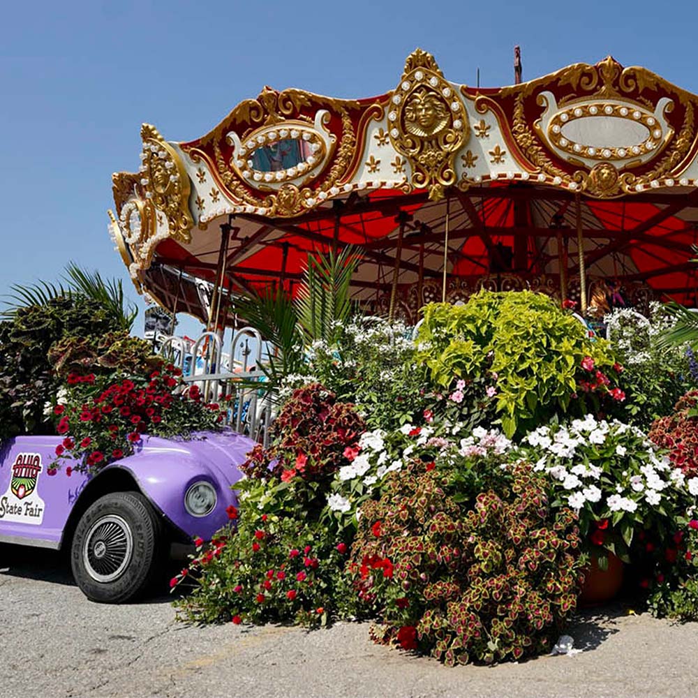 Talley's landscaping is second to none! Gorgeous local plants and picturesque displays